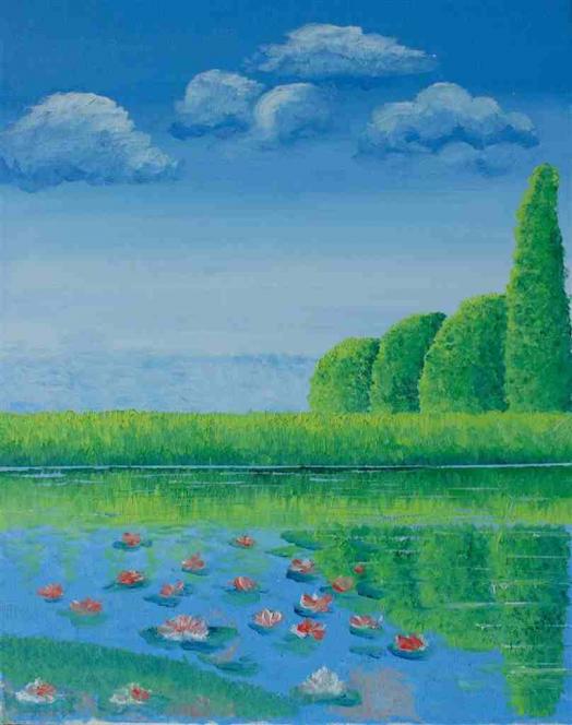 Lotus Reflection - Doina Falcon