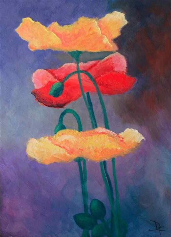 Poppies - Doina Falcon