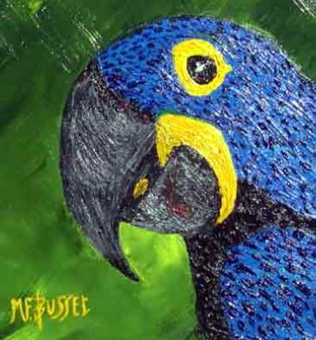 L OISEAU BLEU COCO - Marie-France Busset