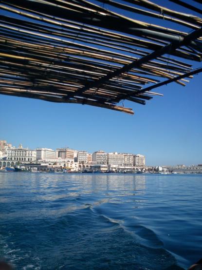 Alger été 2011 1 - Mohamed Labidi