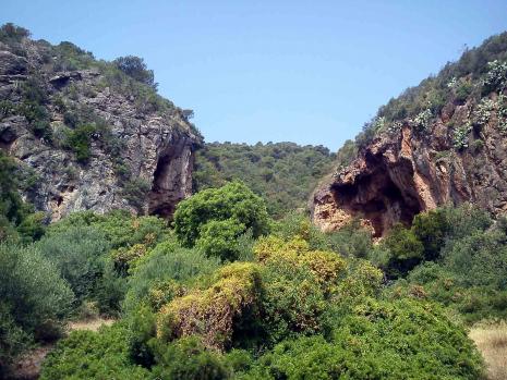 Merci mère nature - Mohamed Labidi