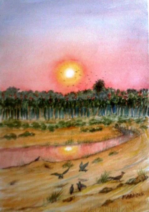 Palmeraie - Mohamed Labidi