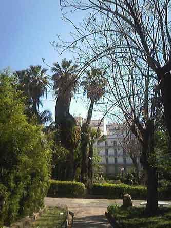 Jardin publique à Alger 02 - Mohamed Labidi