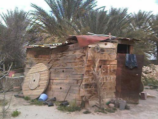 La cabane du jardinier - Mohamed Labidi
