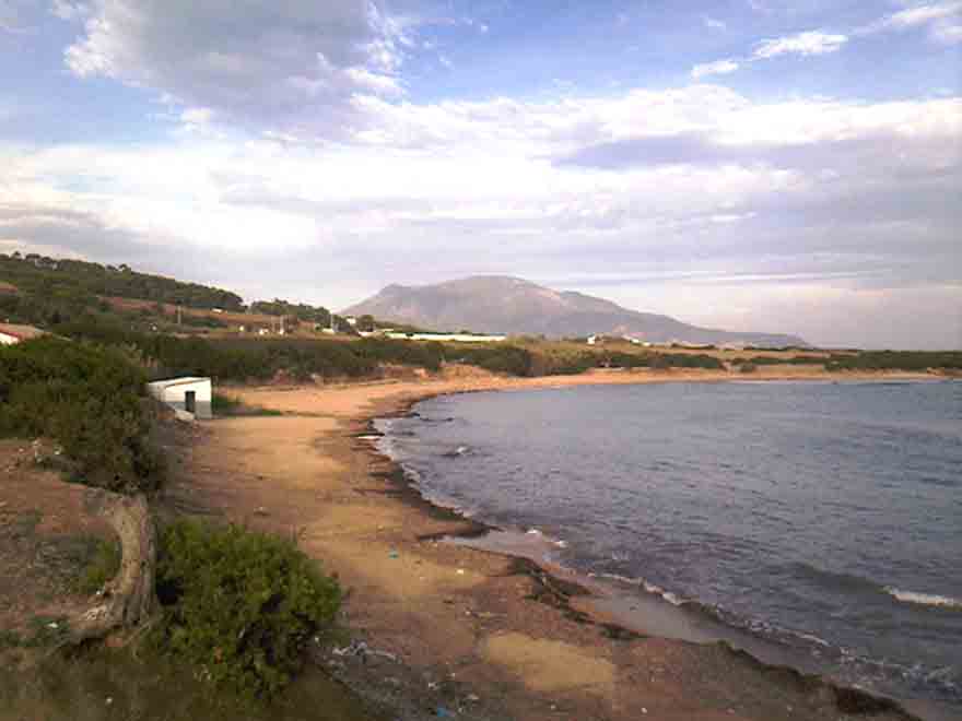 Plage sauvage - Mohamed Labidi - Click to enlarge