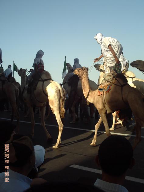 Festival  Panaf Alger 2009 - Mohamed Labidi