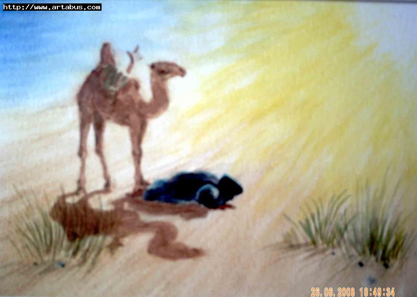 Espace de meditation . - Mohamed Labidi - Cliquer pour afficher en grand