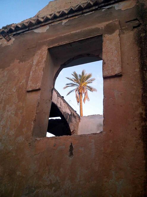 Windows - Mohamed Labidi