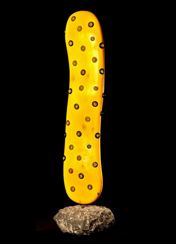 Reticulum cactus - encarto - Click to enlarge