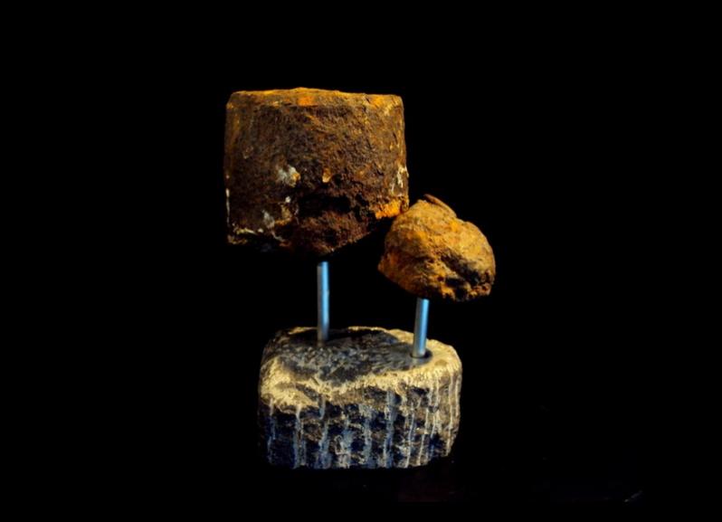 Boletus ferrugo - encarto - Cliquer pour afficher en grand