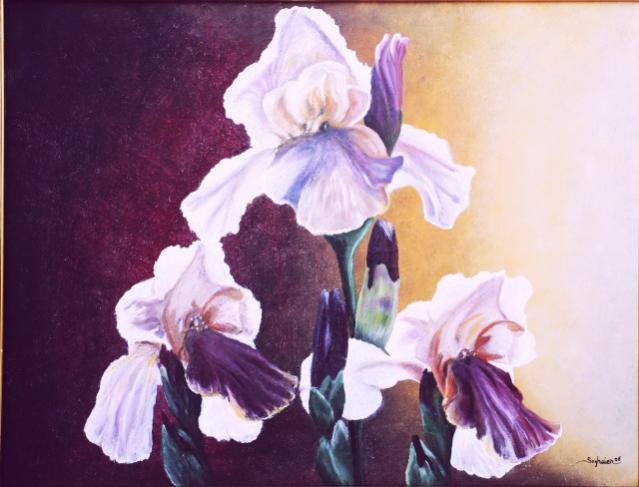iris - Lotfi Seghaier - Click to enlarge