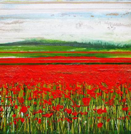 Wild poppy fields Tynedale - Mike Bell