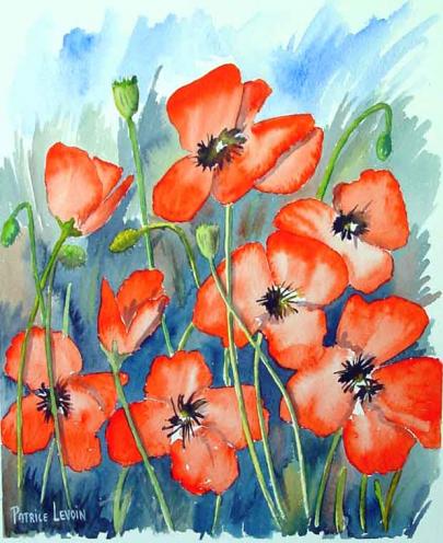 Coquelicots - Patrice Levoin