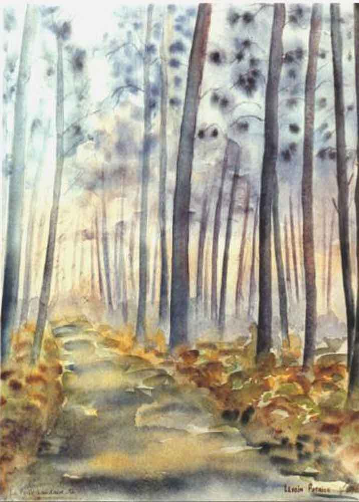 La forêt Landaise - Patrice Levoin - Click to enlarge