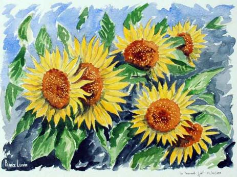 Les tournesols - Patrice Levoin