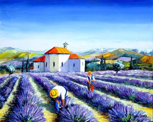 Provence - récolte de la lavande - Patrice Levoin