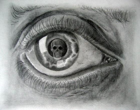 livre theme animaux photo Reflet sur Lecler  papier  Crayon Jérôme :