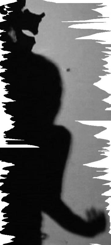 OMBRE - Jean-Paul Ducarteron