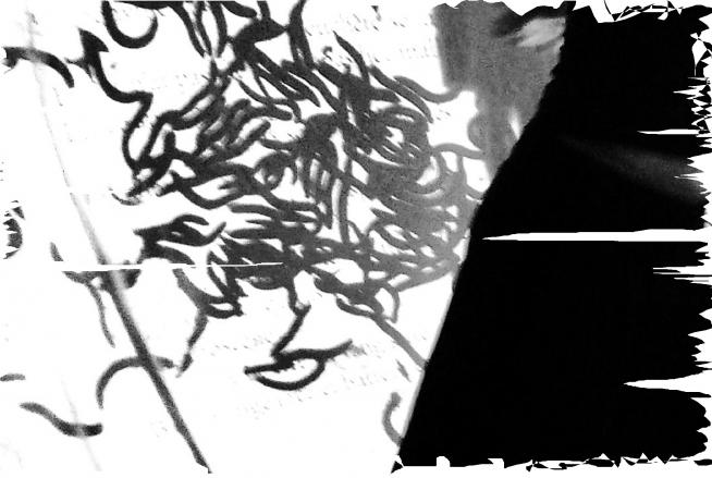 Ombre fendue - Jean-Paul Ducarteron - Click to enlarge