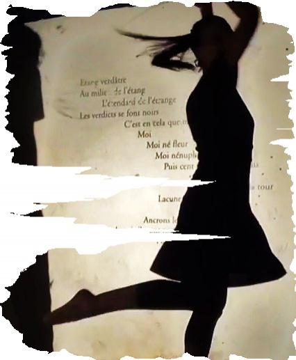 Le risque. - Jean-Paul Ducarteron
