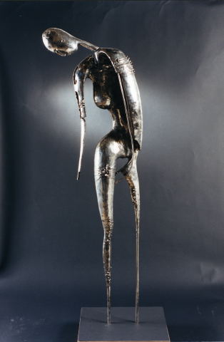 ANGEL - Renai Roberto