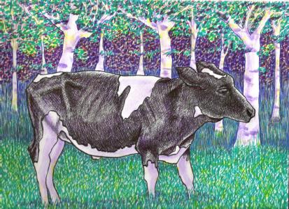 Black Calf - Suzanne Berton