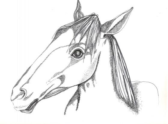 Cheval - Horse - Suzanne Berton