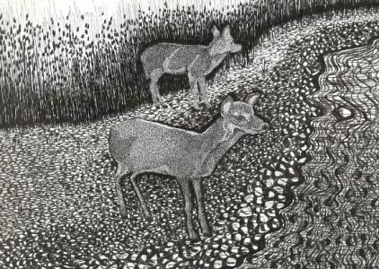 Two Deer - Suzanne Berton