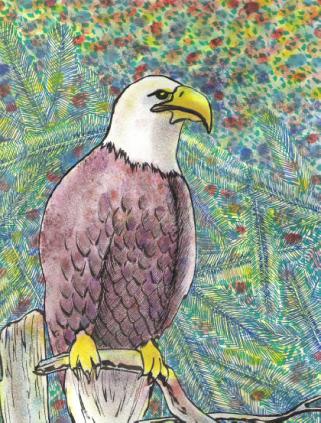 Eagle Perched - Suzanne Berton