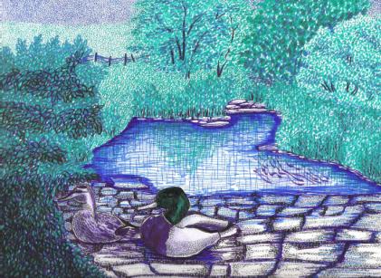 Mallard Oasis - Suzanne Berton