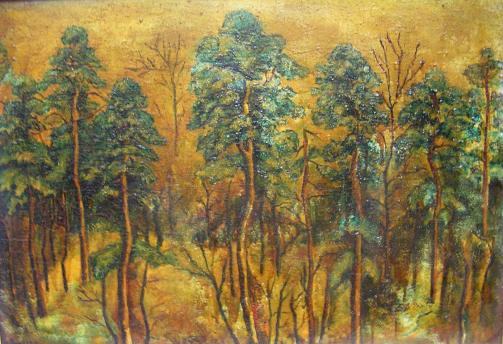 Deep Forest - Rusiko Plaksina