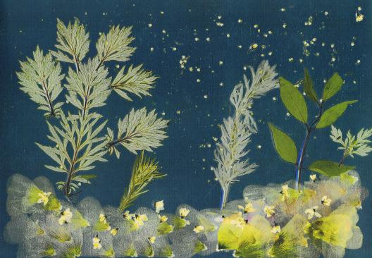 Nuit Venteuse - Nicole Bourgait