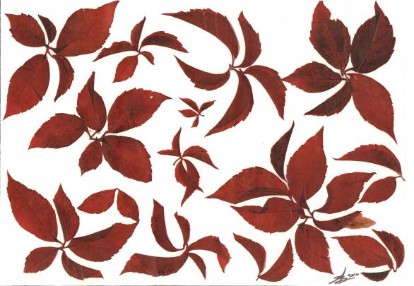 V. vierge rouge - Nicole Bourgait - Click to enlarge