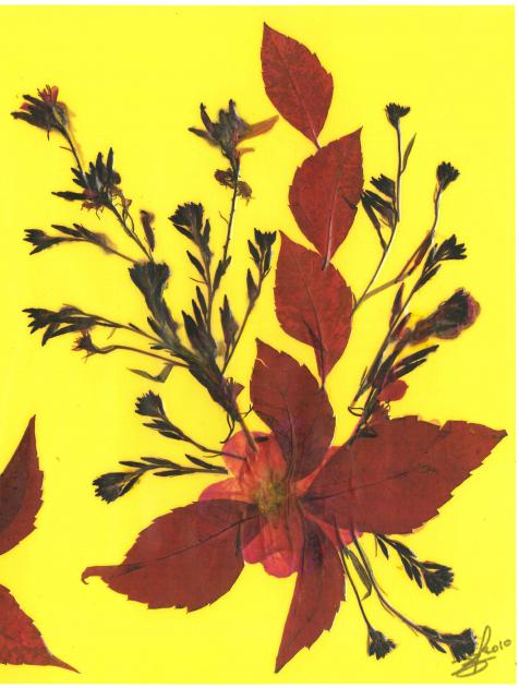 Bouquet jaune - Nicole Bourgait
