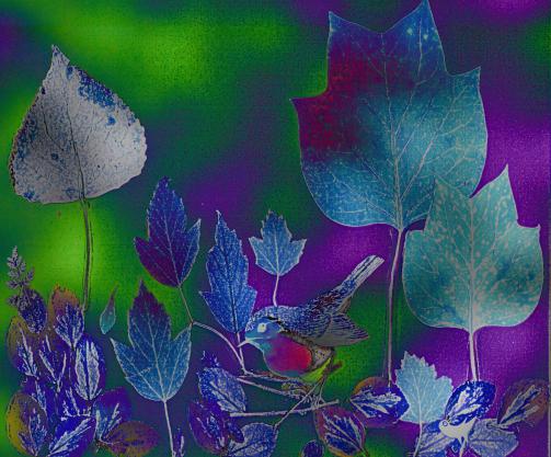 Rouge Gorge Bleu - Nicole Bourgait