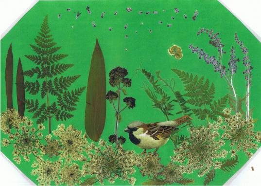 Moineau - Nicole Bourgait