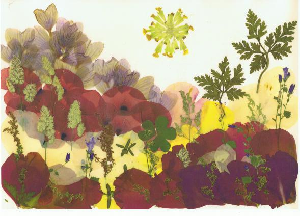 Colline rose - Nicole Bourgait - Click to enlarge