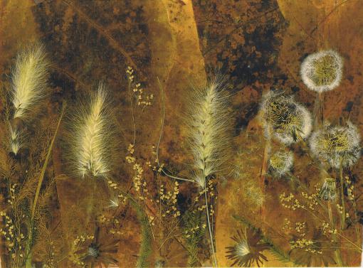 AUTOMNE - Nicole Bourgait