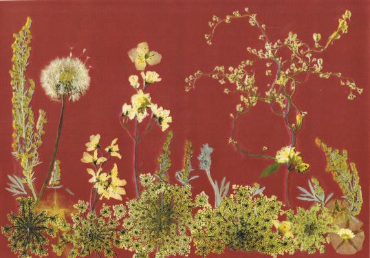 Paysage Automnal - Nicole Bourgait