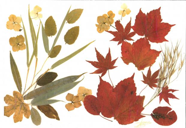 Feuilles rouges - Nicole Bourgait - Click to enlarge