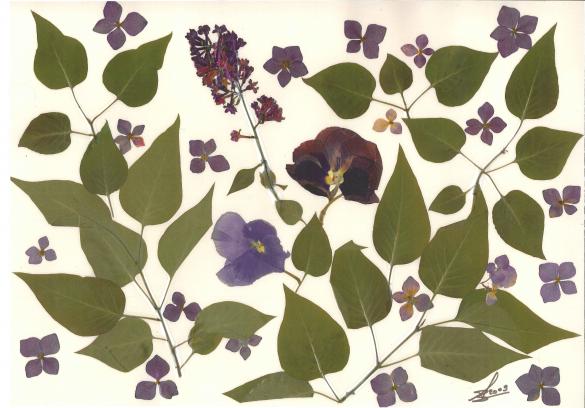 Lilas - Nicole Bourgait - Click to enlarge