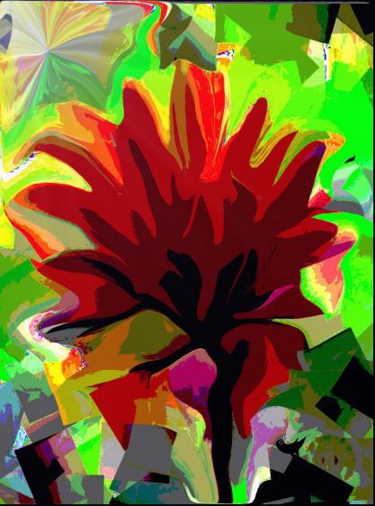 Pivoine Rouge - Nicole Bourgait