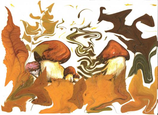 Champignons - Nicole Bourgait
