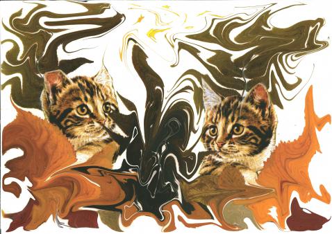 Deux Chats - Nicole Bourgait