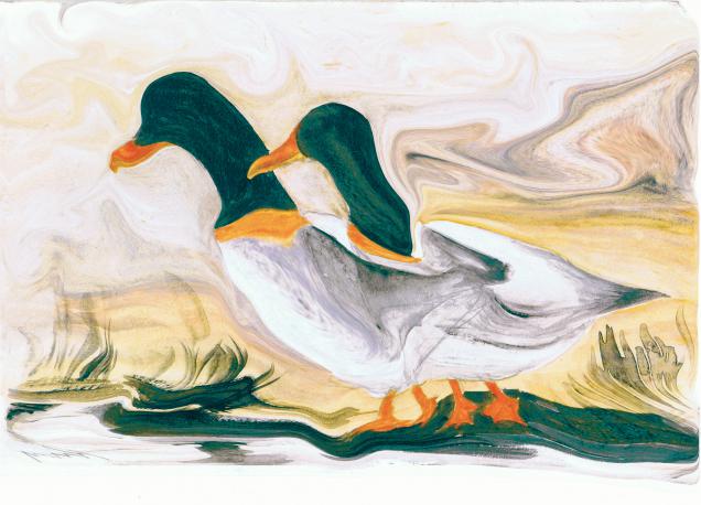 Canards Verts - Nicole Bourgait - Click to enlarge