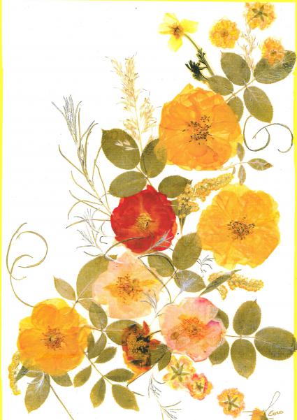 6 Roses - Nicole Bourgait