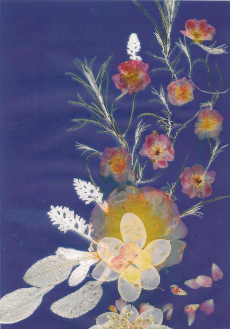 Bquet de roses - Nicole Bourgait