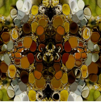 Lichens précieux - Nicole Bourgait