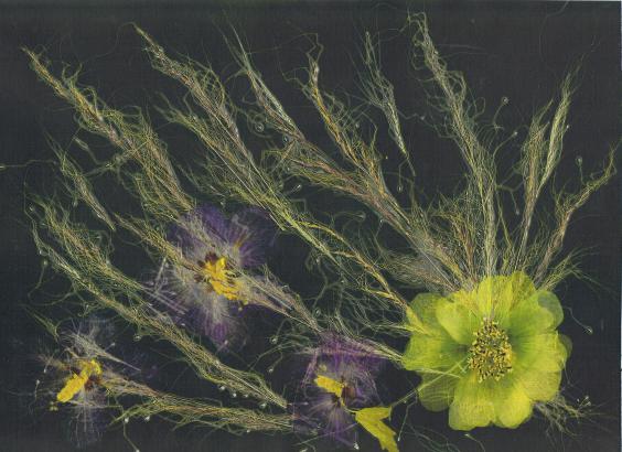 Rose Trémière - Nicole Bourgait