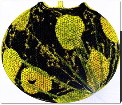 Vase aux maïs - Nicole Bourgait